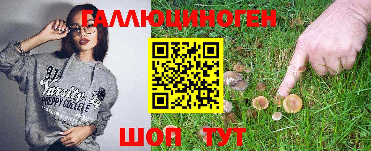 Псилоцибиновые грибы Magic Shrooms  Псилоцибиновые грибы Psilocybine cubensis  Северск  Вход с VPN 